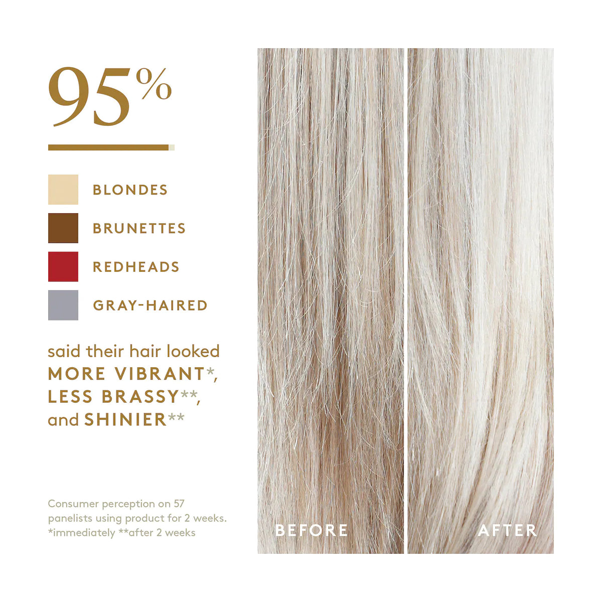 Virtue Colorkick® De-brassing Shampoo