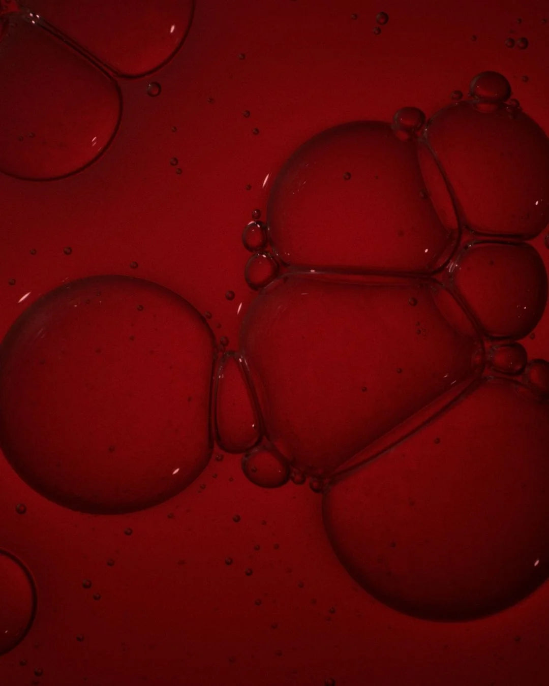 Bioshield Shampoo